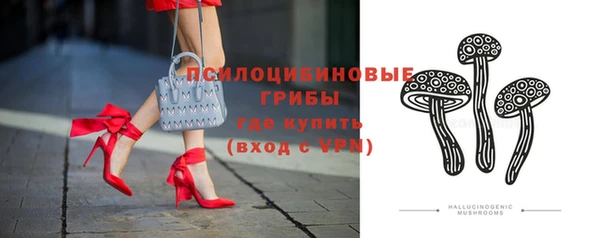 ешки Пестово