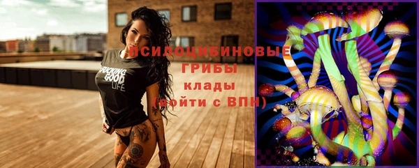 ешки Пестово