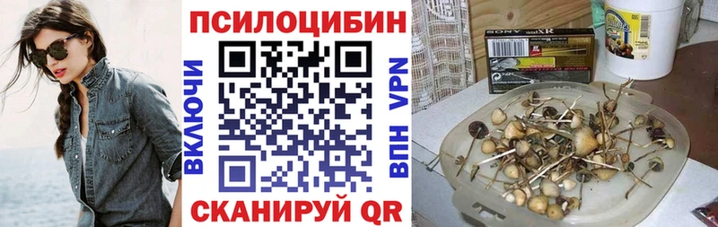 Галлюциногенные грибы Psilocybine cubensis МЕГА сайт Нефтегорск