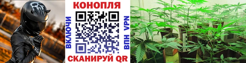 МАРИХУАНА тримм  Нефтегорск 
